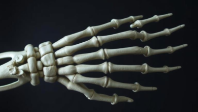 Skeleton Hand