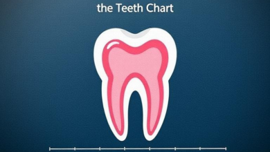 Teeth Chart